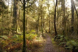 04122 path