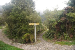 04149 17km to seddonville