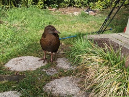 20240630 002657604 weka v1