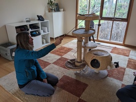 20240721 060103533 mp plays with cat
