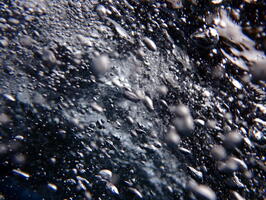 30358 bubbles v1
