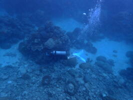 30384 diver below v1
