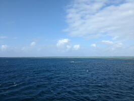 20240723 053316283 reef edge