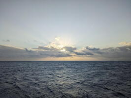 20240723 073620842 above the water again v1