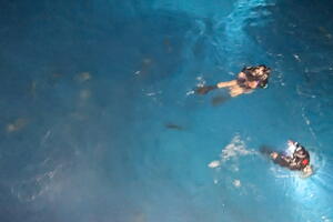20240723 090554463 swimming v1