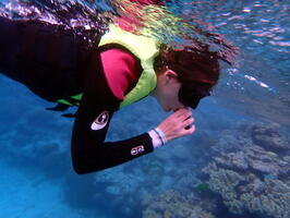 30425 mp snorkelling v1