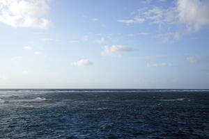 05114 on the reef v1