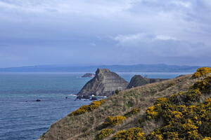 The Catlins (and Dunedin/OPERA), August 2024