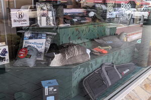 20240816 015005007 mr goose decoy v1