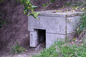 06316 penguin box v1