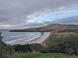 20240816 040703826 pipikaretu beach v1