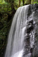 06454 vertical matai falls v1