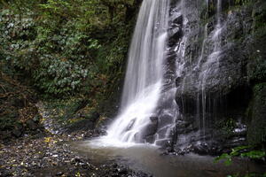 06456 falls base v1