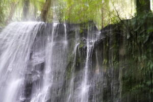 06460 matai falls behind a curtain v1