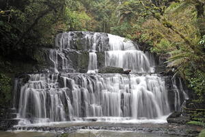 The Catlins (and Dunedin/OPERA), August 2024