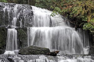 06487 right side of purakaunui falls v1