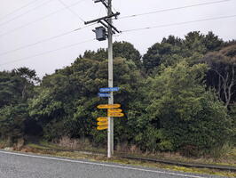 20240816 224919250 papatowai highway