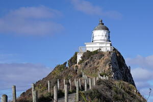 The Catlins (and Dunedin/OPERA), August 2024