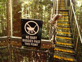 06312 no baby buggies past this point