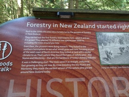 06333 about exotic forestry in nz