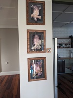 20240810 201818028 pictures of morepork at airbnb