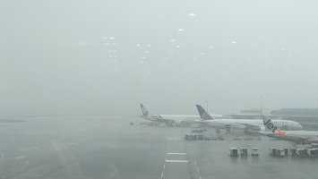 20241005 013849016 rainburst and tstorm at akl