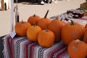 06702 pumpkins