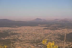 06844 flatlands v1