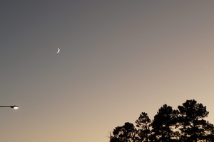 06957 crescent moon v1