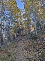 20241006 230147499 trail v1