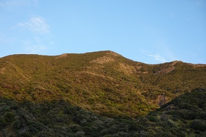 00184 waipipi