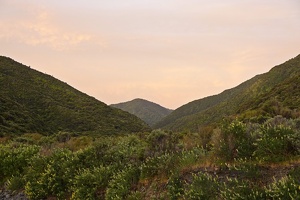 00185 towards kawakawa v1