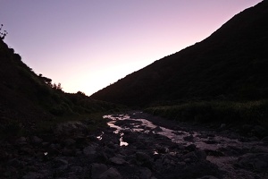 00206 mangatoetoe stream at dusk v1