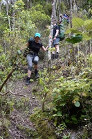 00227 more descent