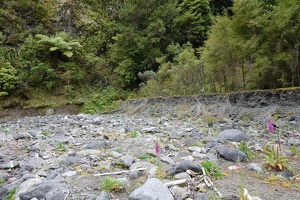 00231 riverbanks