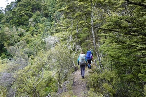 00245 tramping