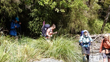 00260 exiting the forest v1