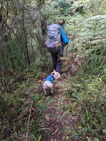 20241123 013403755 sophie following mp