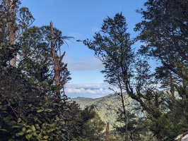 20241123 201122580 small view of palliser bay v1