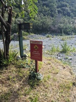 20241124 040249961 danger risk of drowning
