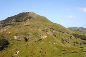 07970 hilly pastures v1