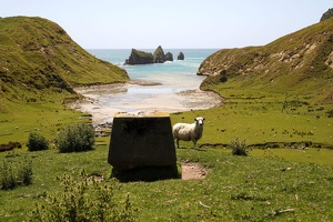 08016 this is a monument  also sheep v1