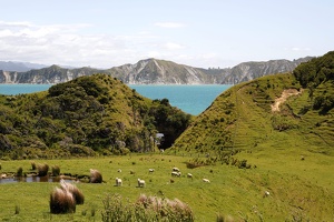 08019 pastoral with hole in the wall view v1