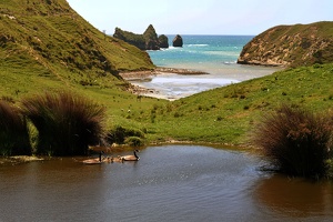 08022 canada goose family v1-topaz-sharpen-lighting