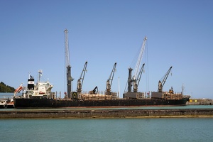 08030 log transporting ship v1