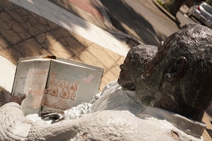 08042 over the shoulder view