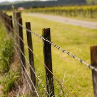 07419 barbed wire v1