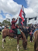 20241118 210130227 swann dri on a horse  te hapori hooiho