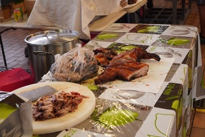 08769 duck