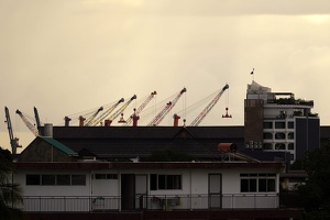 08785 cranes v1